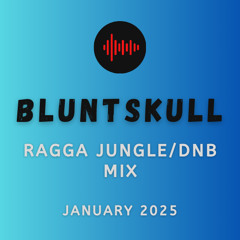 Jungle x DnB mix Jan 2025
