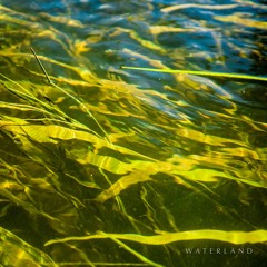 River Bed