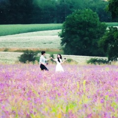 In a Beautiful Way - Kyunghee Kim