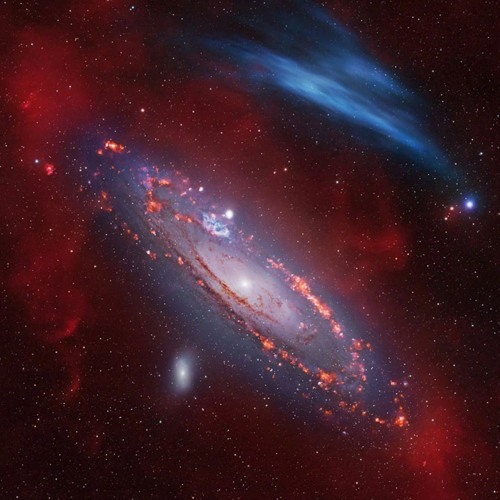 Theodor - Andromeda