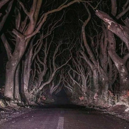 Bleeding out 𖤐 | Rainbow Bridge 3 type beat