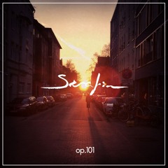 Serafin Sinfonia Op. 101 - ANNAWAFFEL - Next Steps