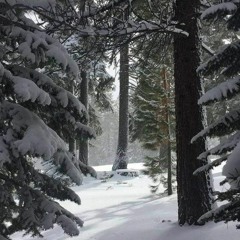 Scally MIlano - По Пятам (speed up)