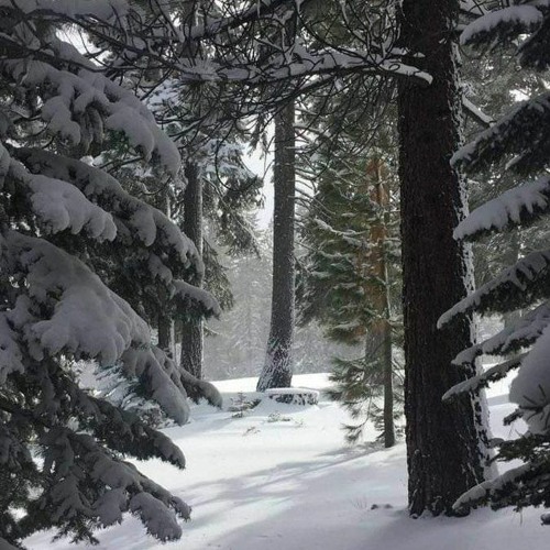 Scally MIlano - По Пятам (speed up)