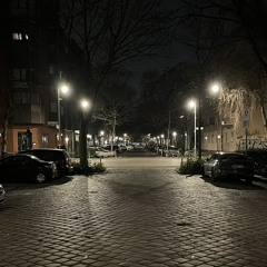 egal feat. bivo11k (p. methboiswag)