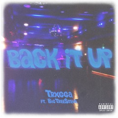 Back It Up (feat. BigTreeSteve)