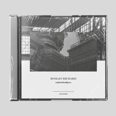 [PREMIERE] | Romain Richard - Irrational Beliefs [AECD005]