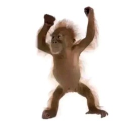 Vonoff1700 Shake Em Down