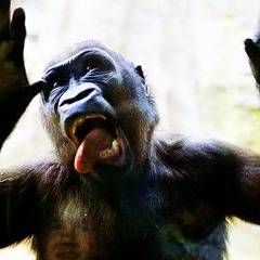 SMOKE IT OFF! -Lumi Athena, jnhygs (sped up).mp3