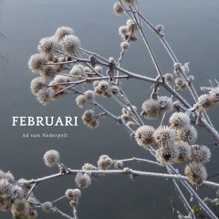 Februari (composer/performer Ad van Nederpelt)