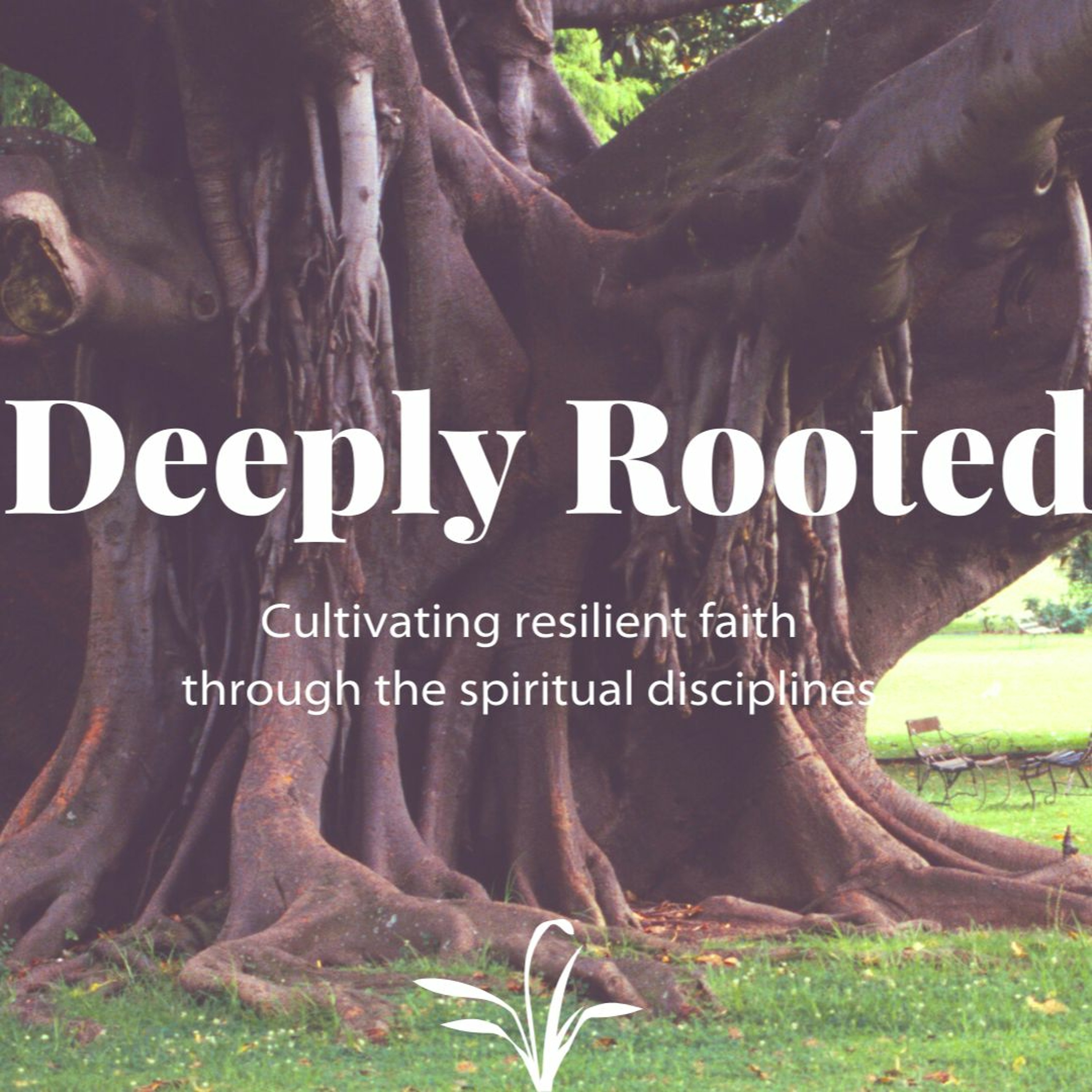 Deeply Rooted, Part 5—Koinonia