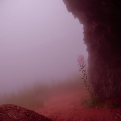 All The Way (Prod. Kase)