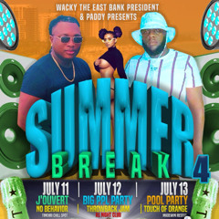 SUMMER BREAK 4 (PROMO) D.T.M