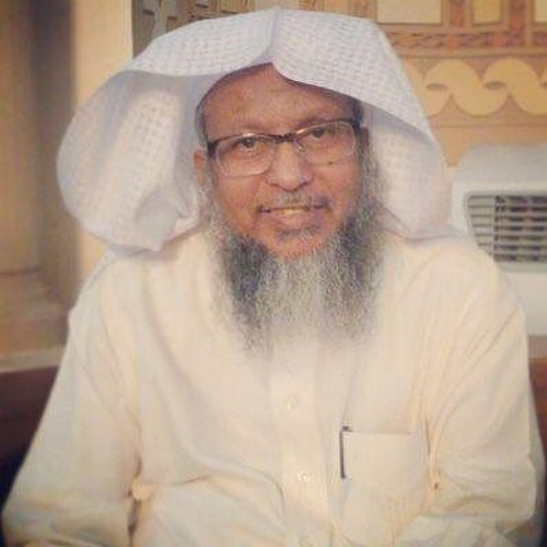 اروع قراءات للشيخ محمد أيوب | مقام الحجاز