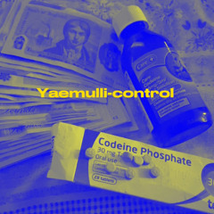 Yaemulli-control