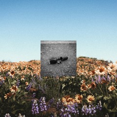 Sad Kid Summer