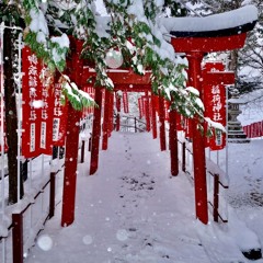 "Slow Snow" by Flam! (Paul Myers)  12:10:20, 3.35 PM