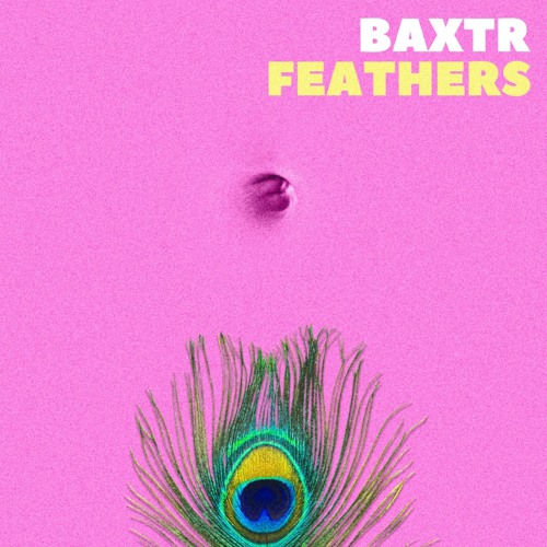 Feathers by BAXTR