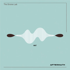 The Groove Lab 007