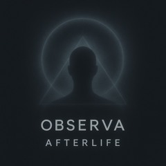 Afterlife