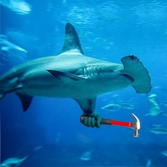 Hammarhaj 1.0 #morotskaka