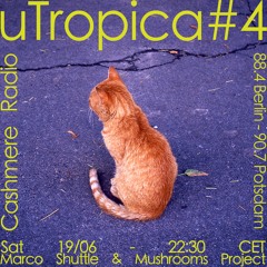 UTropica#4 - Marco Shuttle & Mushrooms Project
