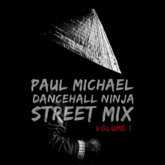 PAUL MICHAEL - DANCEHALL NINJA STREET MIX VOLUME 1