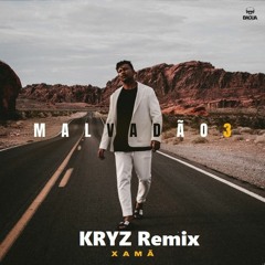 Malvadão 3 (KRYZ Remix)Radio Edit