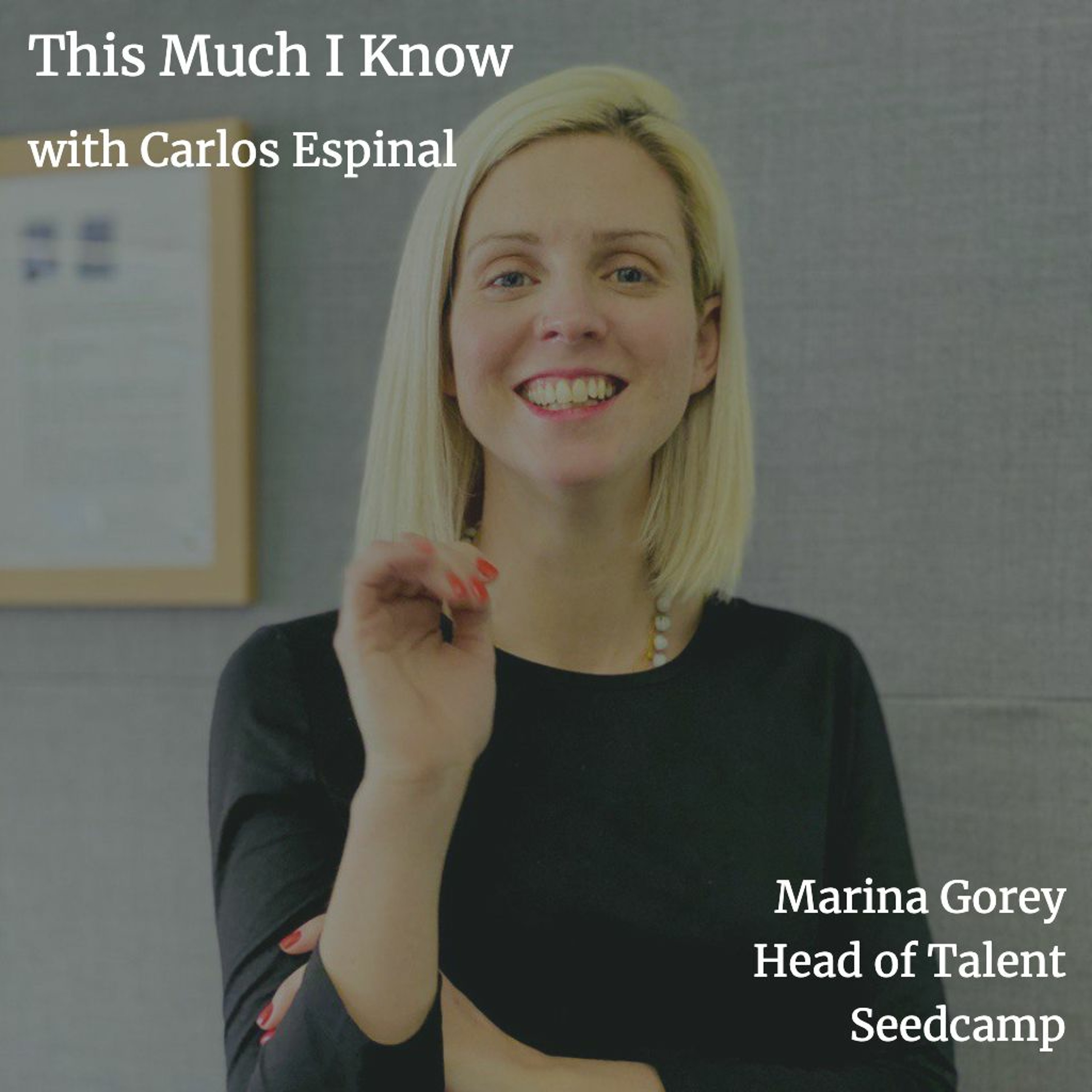 This Much I Know - The Seedcamp Podcast