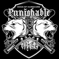 Hardcore Classics Set 1.0 🪐