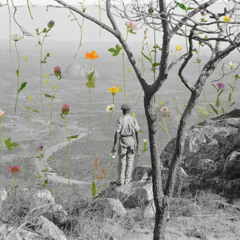 Milambi (feat. Angelique Kidjo)