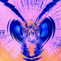 The Beesnees #dibiflipsessions7