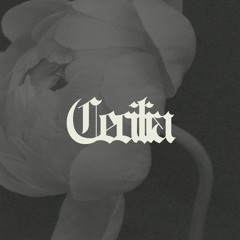 Chicago Nights - Chill Out Music by Sissy Mpiz (Cecilia)