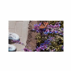 made for made: vlnd tiks