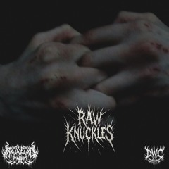 RAW KNUCKLES(prod.Cessir)