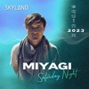 MIYAGI | SKYLAND EQUINOX 2023 DJ mix artwork - Electronic music tracklist cover image
