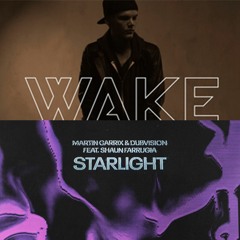 Martin Garrix Starlight X Avicii Wake Me Up (G.B Mashup)