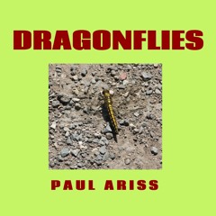 DRAGONFLIES