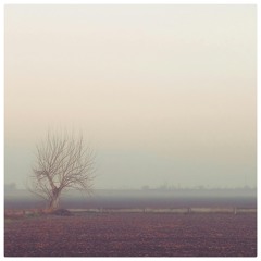 Can This Love Be Translated?