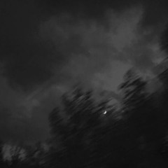 She Knows prod. nobodysthereforme