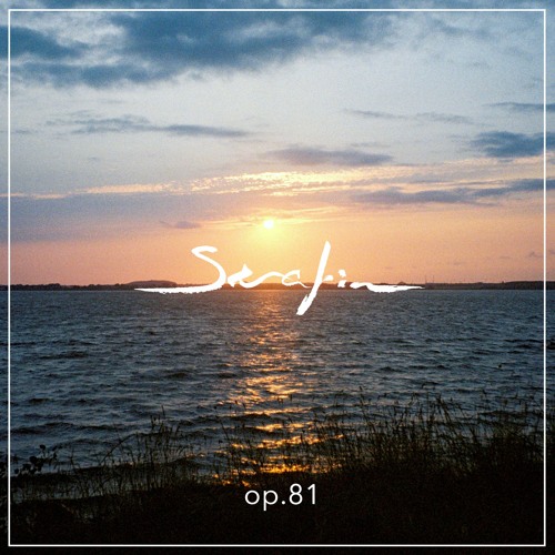 Serafin Sinfonia Op. 81 - Jolle -  meet at eye level