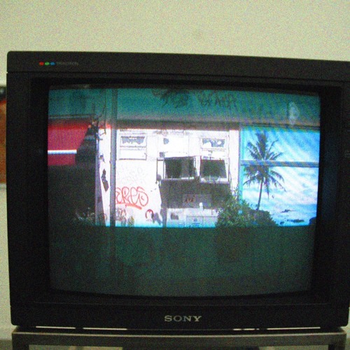 THIS BEAUTIFUL EARTH (SSR Mashup)