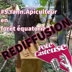 _REDIFFUSION_Pote.casteuse #5 Yann.Apiculteur en forêt équatoriale