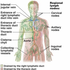 Sweater Weather (prod Kratom)