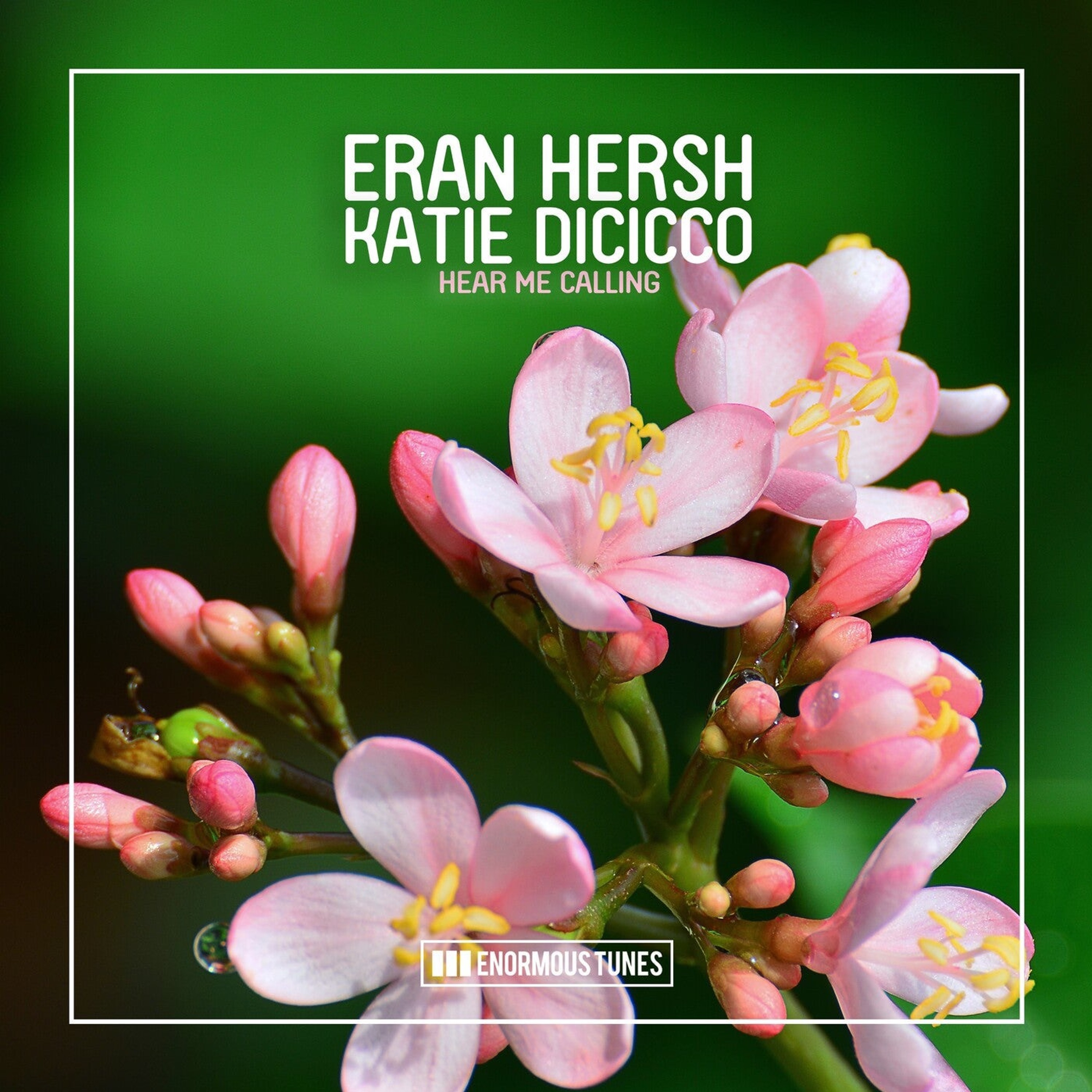 ERAN HERSH