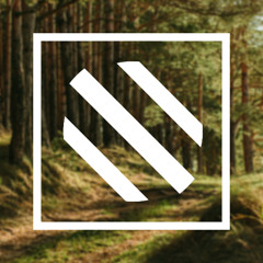 Archives - SpiralScape | Light Forest / Adventure