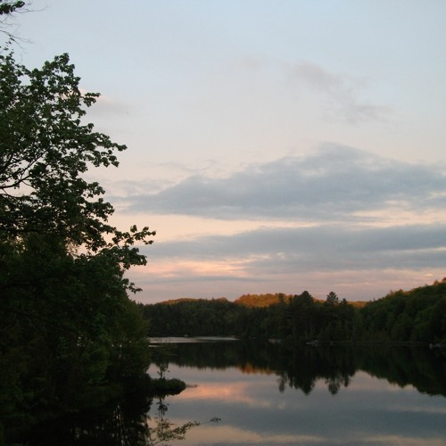 Guitar And Synth SUMMER