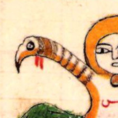 雨水保护了青蛙