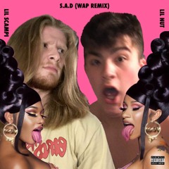 S.A.D. (WAP - Cardi B Remix) [feat. Lil Scampi]