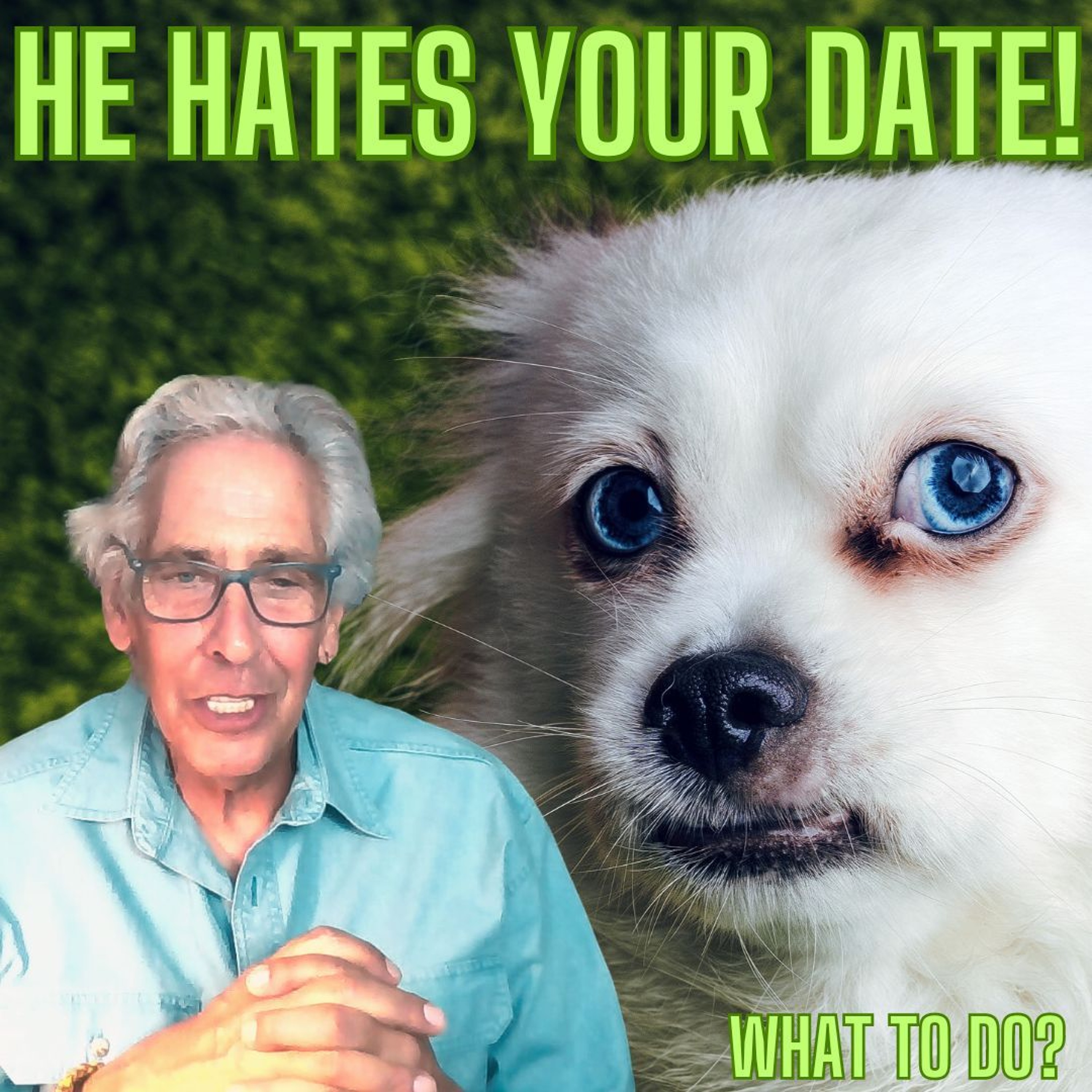 The Pet Show - USA & Canada